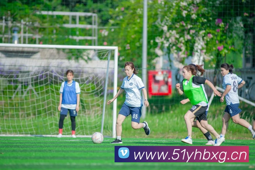 开云kaiyun入口平台生态图